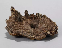 广东沉香小姐姐,探寻沉香文化的魅力传承